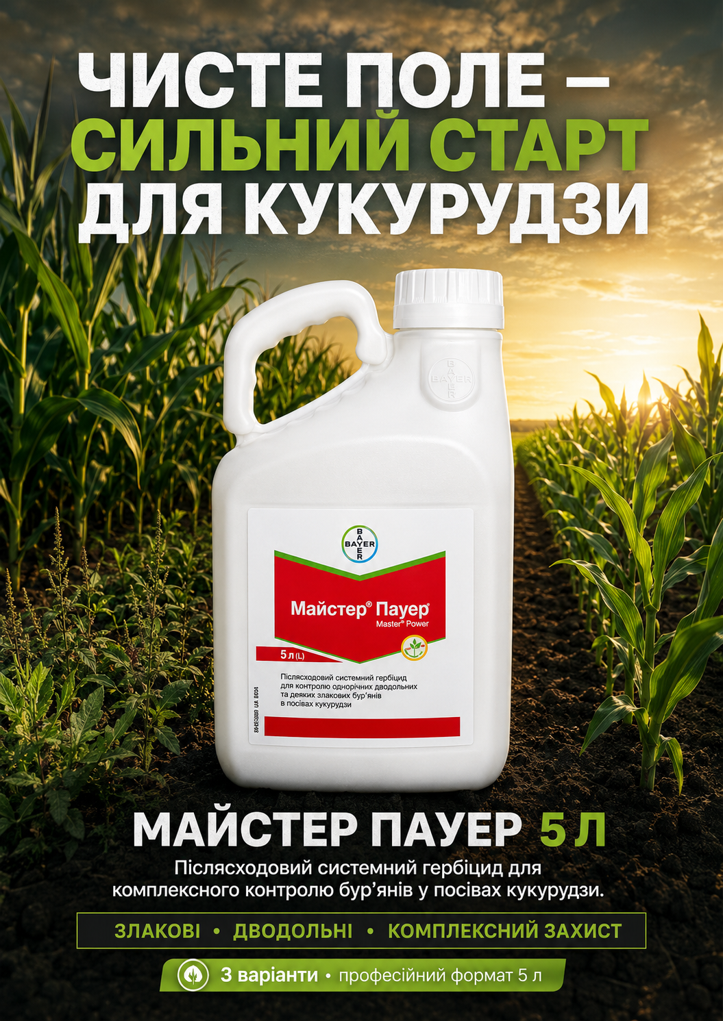 Портрет человека