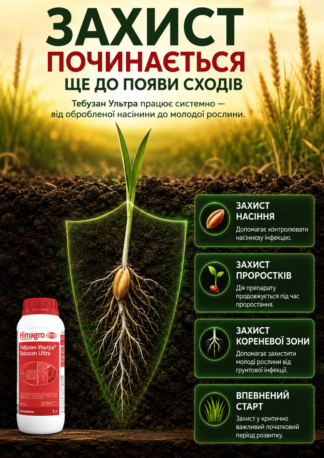 Портрет человека